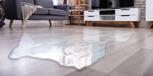 Water damage inspection can help after a flood